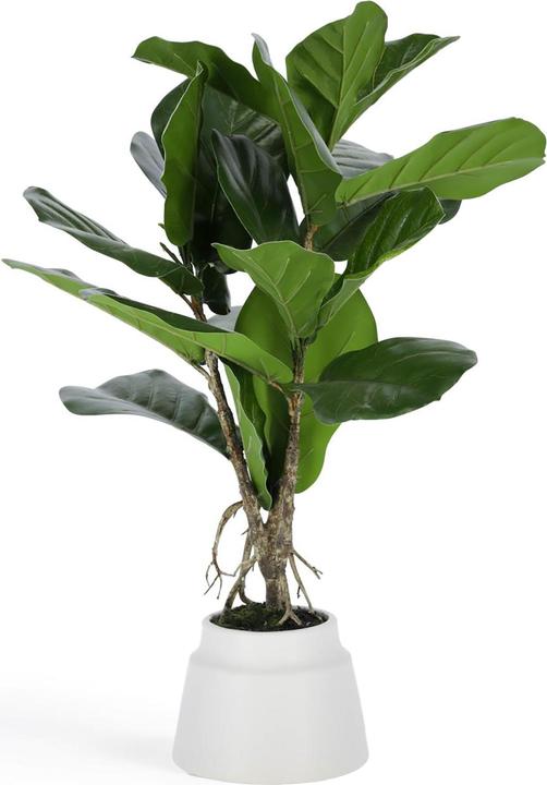 Kave Home Lyrata (60 cm)