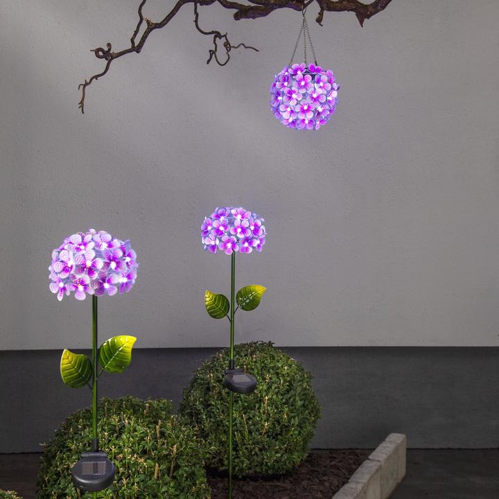 Image du produit Star Trading Hortensia (IP44)