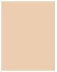Image du produit Revlon Fondation ColorStay Full Cover™ 210 Sand Beige (210 Beige sable)