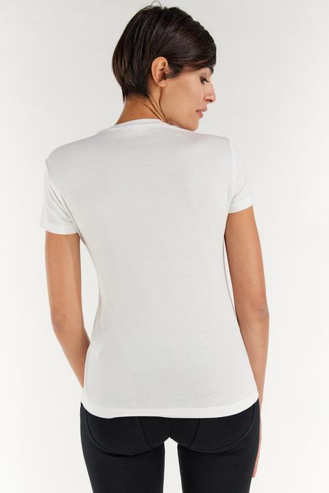 Actual product image Freddy Short Sleeve T-Shirt (L)