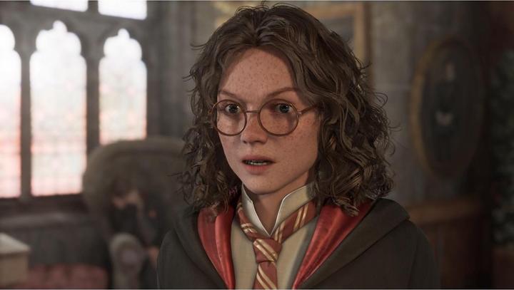 Image du produit WB Hogwarts Legacy (Switch 2, DE)