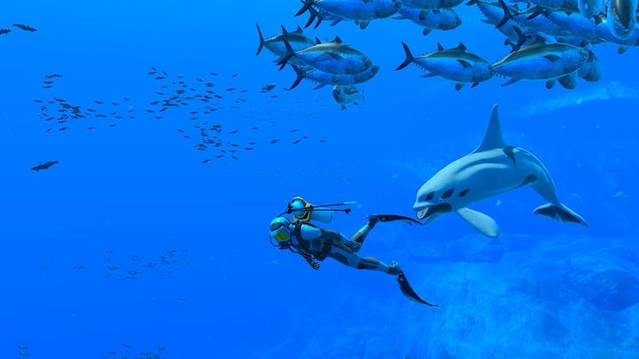 Image du produit Nintendo Endless Ocean Luminous (Switch, Switch Lite, Switch OLED, EN)