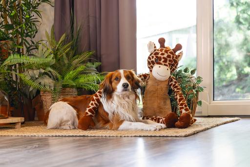 Produktbild Beeztees Hundespielzeug Giraffe XL (Plüschspielzeug Hund)