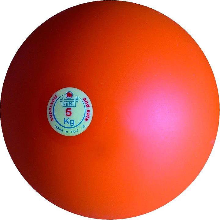 Actual product image Trial Shock ball (5000 g)