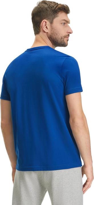 Actual product image Falke BA V-Neck T-Shirt m (S)