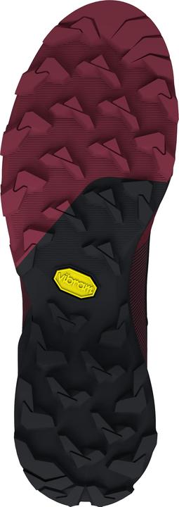 Produktbild Dynafit Transalper GTX Laufschuh Damen (41)