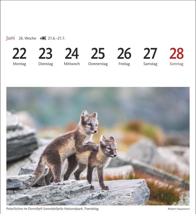 Produktbild Harenberg Norwegen Sehnsuchtskalender 2026 - Wochenkalender mit 53 Postkarten (Deutsch)