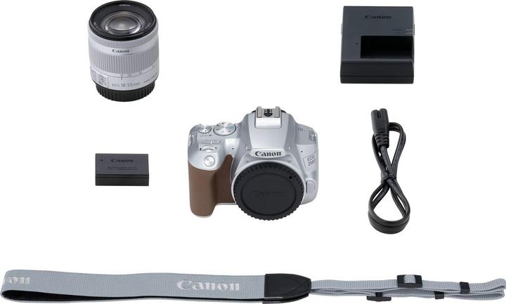 Actual product image Canon EOS 250D + EF-S 18-55mm f/4-5.6 IS STM (18 - 55 mm, 24.10 Mpx, APS-C / DX)