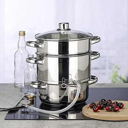 Actual product image Gravidus Steam juicer