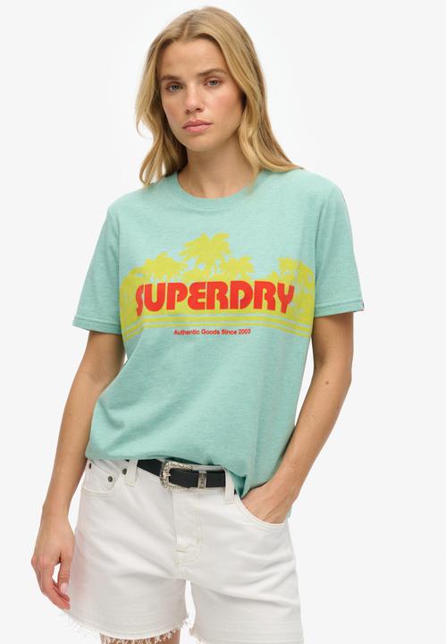 Actual product image Superdry Outdoor Stripe Relaxed Tee (14)