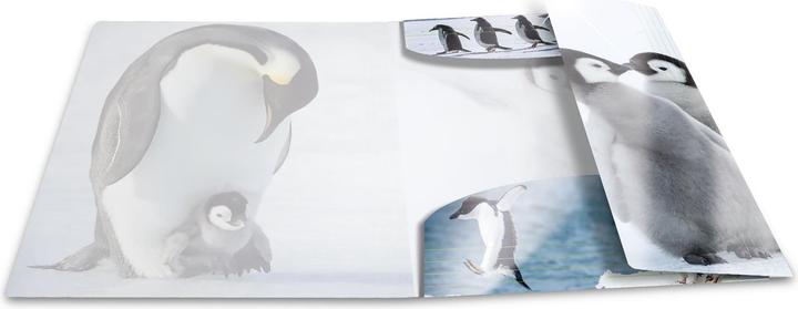 Actual product image HERMA A3 motif folder (A3, 1 x)