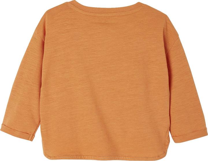 Actual product image Vertbaudet Baby Shirt mit Löwe (74)