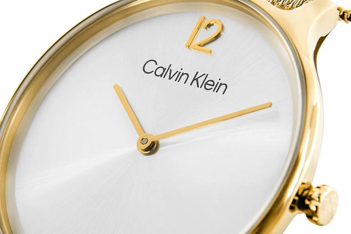 Produktbild Calvin Klein Timeless Mesh Damenuhr 25200003 + BOX (Analoguhr)