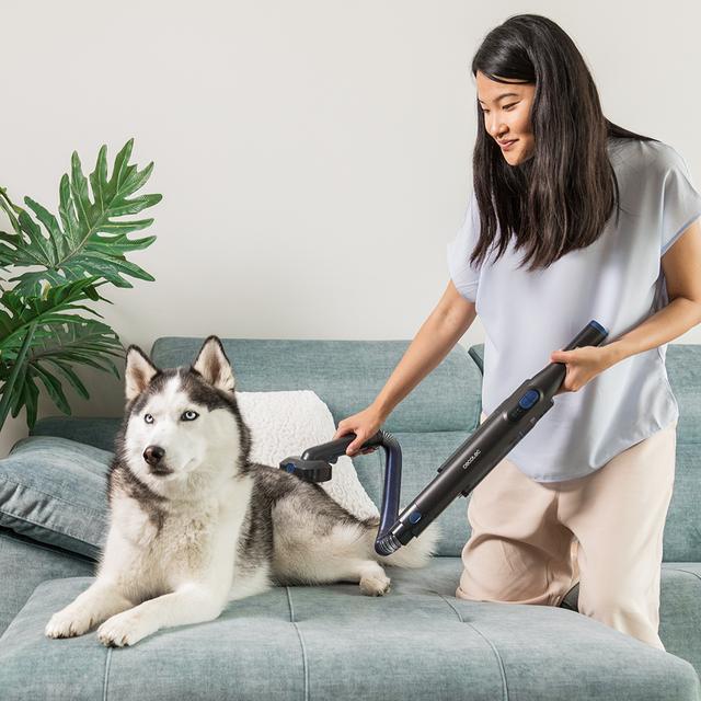 Actual product image Cecotec Conga Rockstar Micro+ Animal Cordless Vacuum Cleaner Grey Bagless