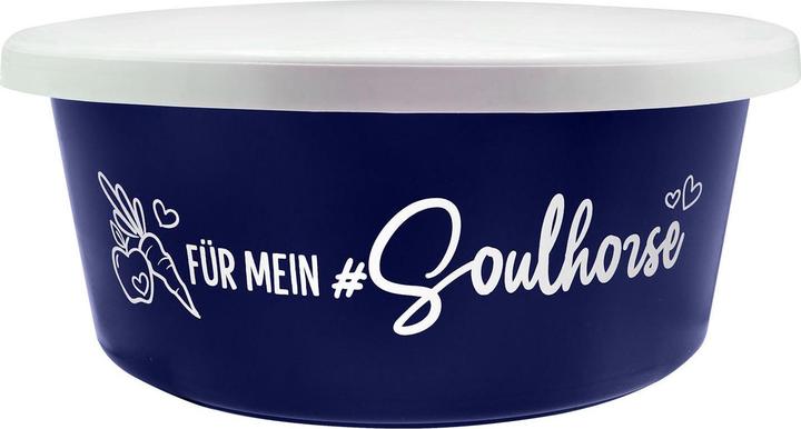 Actual product image Soulhorse Feed Bowl For My