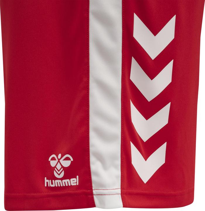 Actual product image hummel Core Xk Basket Shorts (L)