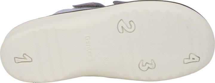 Actual product image Ganter Hera (42)