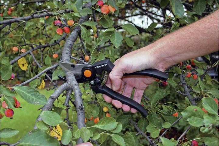 Actual product image Fiskars Garden Shears Bypass Pro 111960