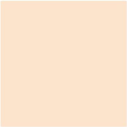 Actual product image MAC Cosmetics Studio Fix 24-Hour Smooth Wear Concealer (No. NC10)