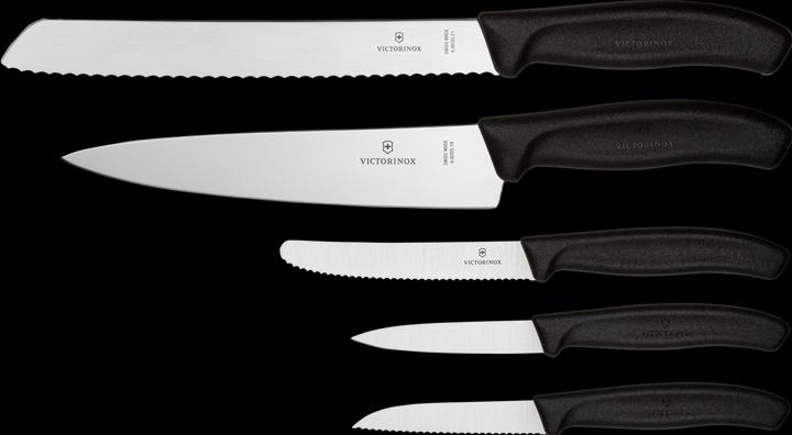 Actual product image Victorinox Swiss Classic (21 cm)