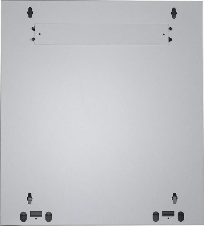 Actual product image Intellinet 19" wall distributor (10.87 RU, 19 inch rack)