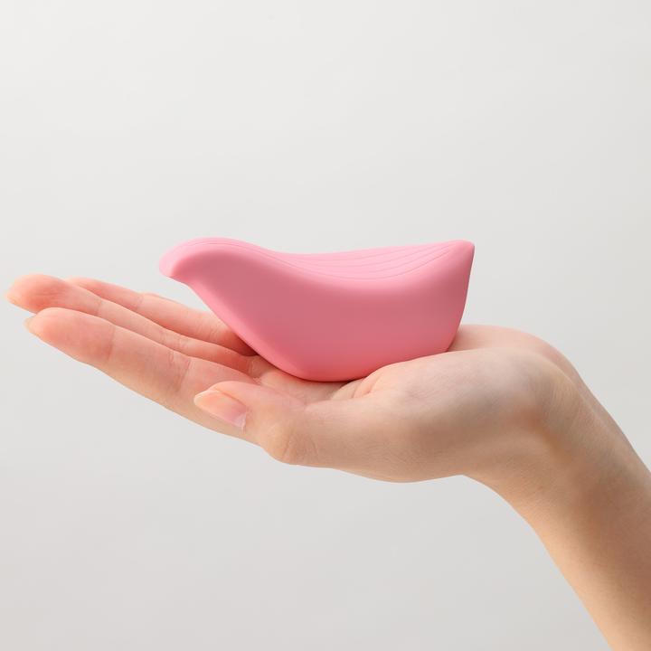 Actual product image Iroha +