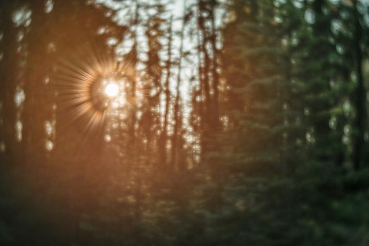 Image du produit Lensbaby Trio 28 Fuji X (Fujifilm X, Micro Four Thirds, APS-C / DX, Plein format)