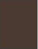 Actual product image Maybelline New York Express Brow Fast Sculpt (4 Medium Brown)