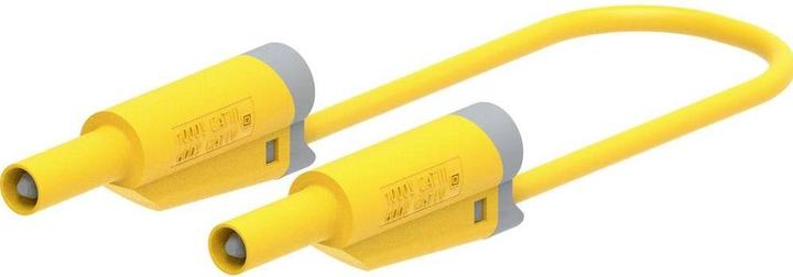 Produktbild Electro PJP 2714-IEC-CD1-100J Messleitung Steckanschluss 4 mm, Bananenstecker 1