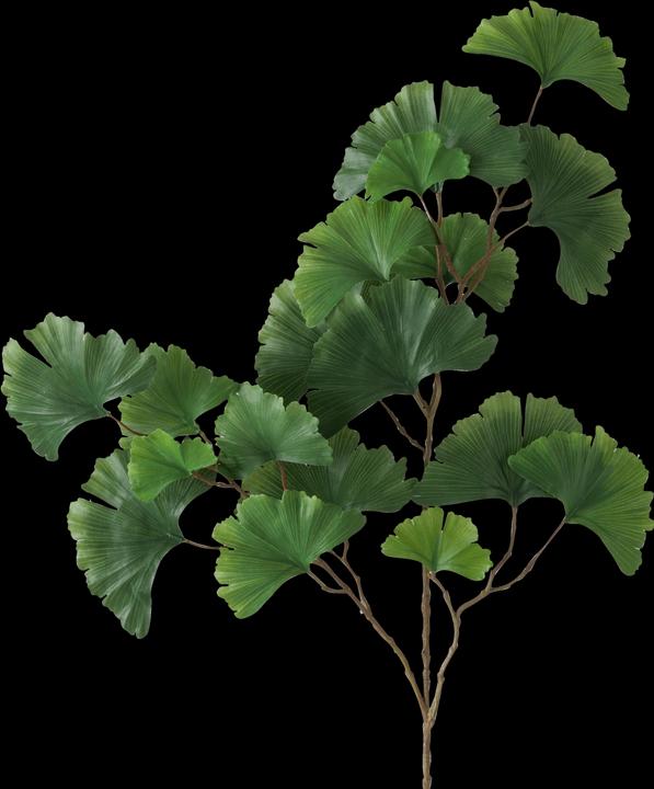 Actual product image Boltze Home Gingko (2 cm)