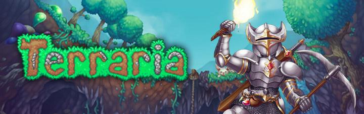 Actual product image 505 Games Terraria (Switch, Multilingual)