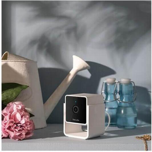 Actual product image Petcube Pet Camera (Catmint toy)