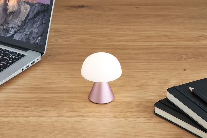Actual product image Lexon Mina
