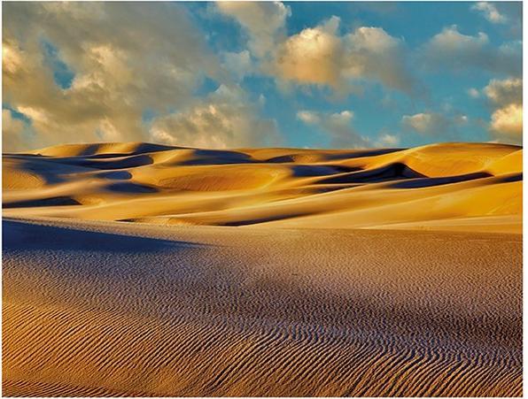 Immagine prodotto Dennis Frates dune dell'Oregon stampate al tramonto (60 x 80 cm)