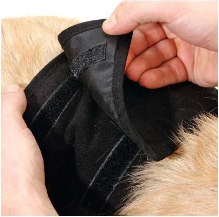 Produktbild Karlie Gentleman Wraps Plus (S, Hundeoverall)