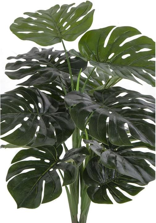 Actual product image House Nordic Monstera (90 cm)