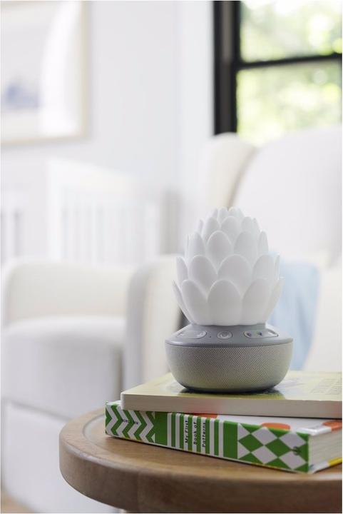 Image du produit Skiphop Veilleuse succulente