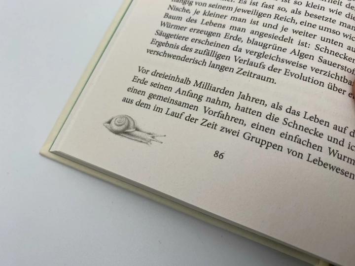 Immagine prodotto Das Geräusch einer Schnecke beim Essen (Tedesco, Kathrin Razum, Bailey Tova Elisabetta, Kathy Bray, 2023)