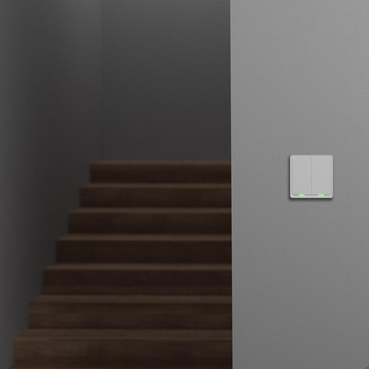 Actual product image Tesla TSL-SWI-ZIGBEE2