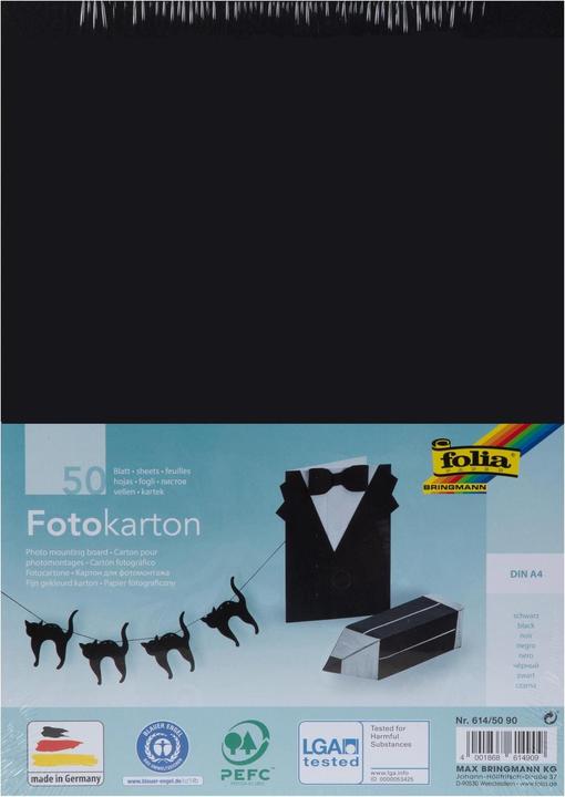 Folia Fotokarton (300 g/m², 1 x)