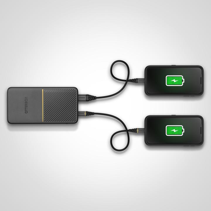Image du produit OtterBox Banque d'alimentation à charge rapide standard (15000 mAh, 18 W, 55500 Wh)