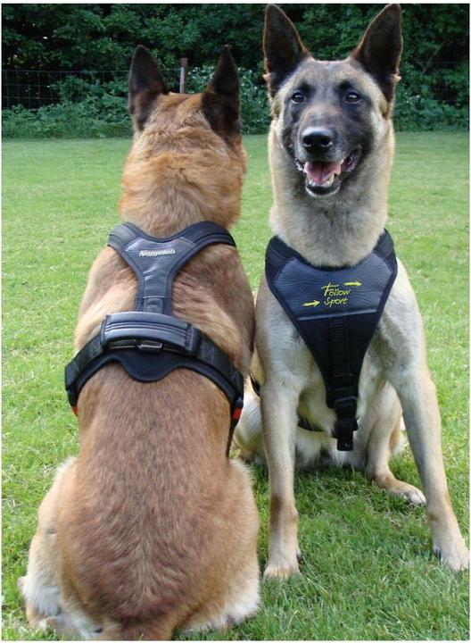 Produktbild Niggeloh Hundeführgeschirr Follow Sport (XL, Hund, Allgemein, Hundesport)