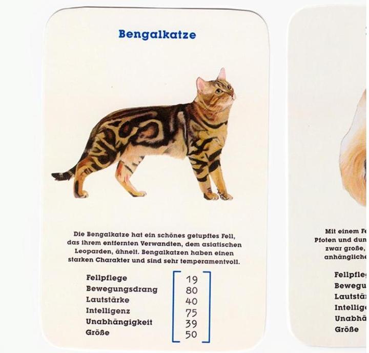 Produktbild 441050 - Quartett - Katzen. Best in Show - 2+ Spieler, ab 8 Jahren (DE-Ausgabe) (Deutsch)