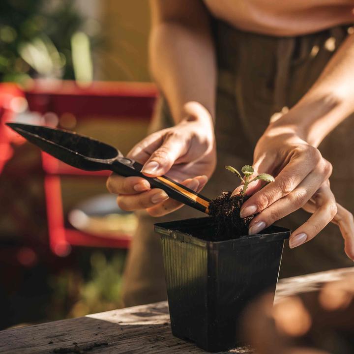 Actual product image Fiskars Solid Seed Plant Trowel