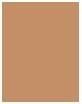 Actual product image Dermacol Caviar Long Stay Make-Up & Corrector (5 cappuccino)