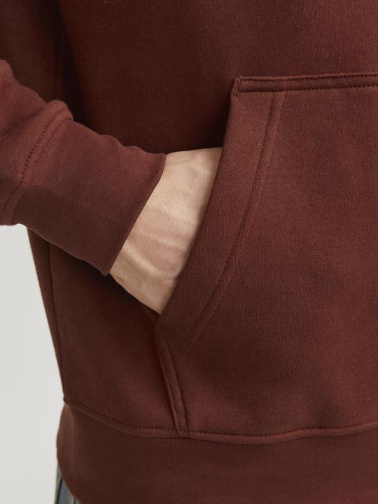 Actual product image Jack & Jones Jorvesterbro Block Sweat Hood Styd Aw24 (S)
