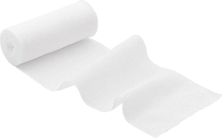 Hartmann Peha-Lastotel Binde 10cmx4m, 1 St BIN