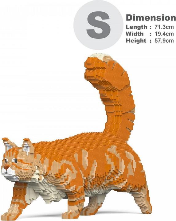 Produktbild Jekca Limited Orangene Maine Coon Katze
