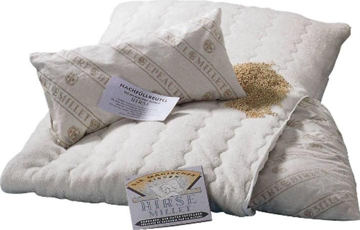Produktbild Billerbeck Hirsekissen 100IHF (50 x 70 cm)