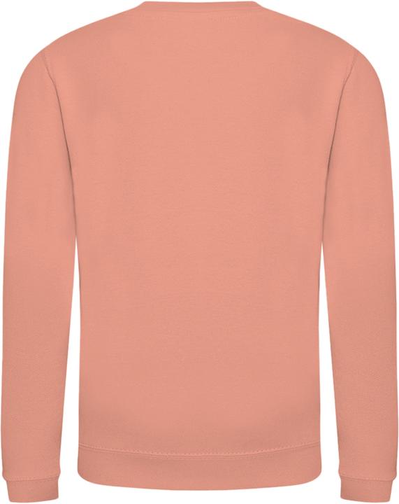 Immagine prodotto Awdis Felpa Just Hoods Pullover Unicolore (104)